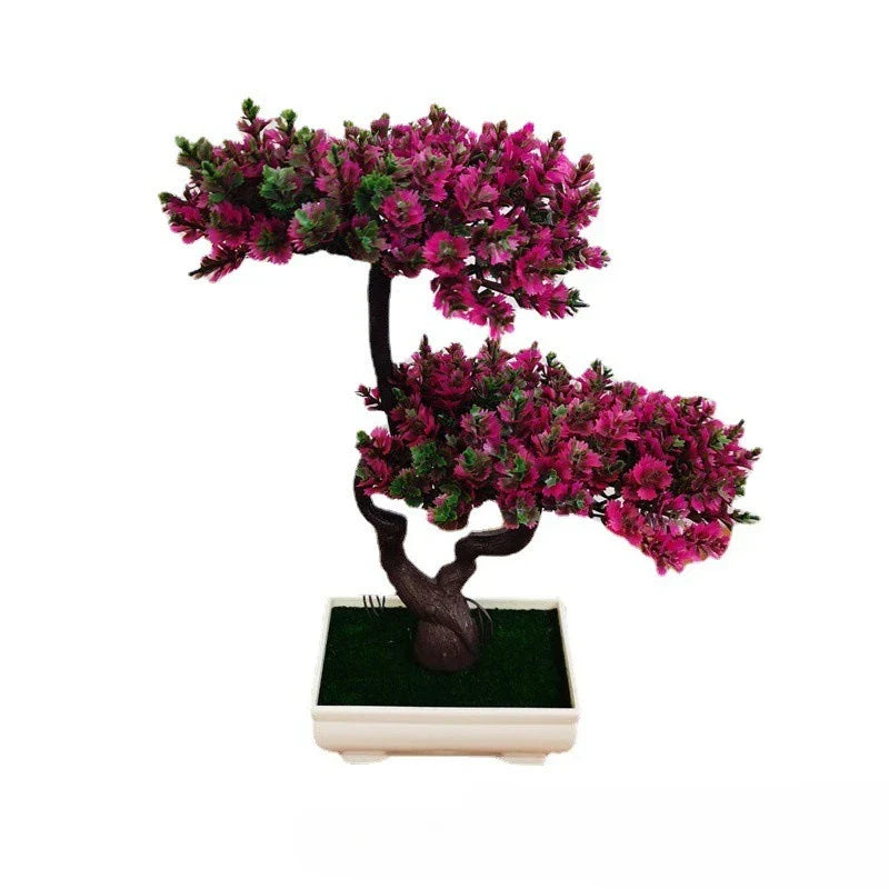 Pure Form Collection